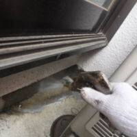 画像1423：キッチンリフォーム