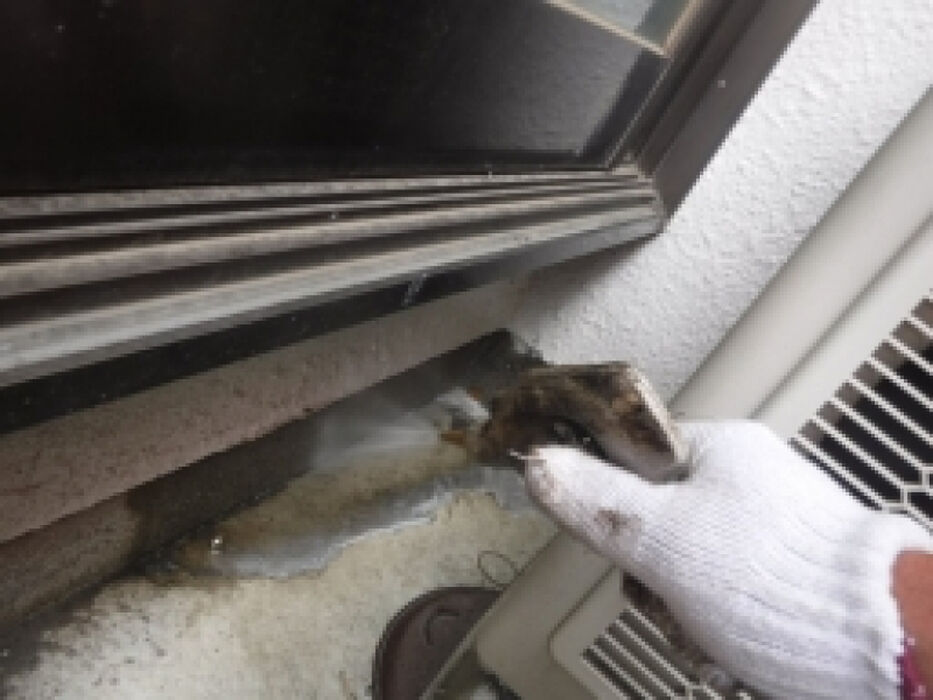 画像1423：キッチンリフォーム